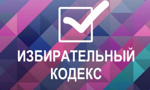 8 экспертных мнений об Избирательном кодексе